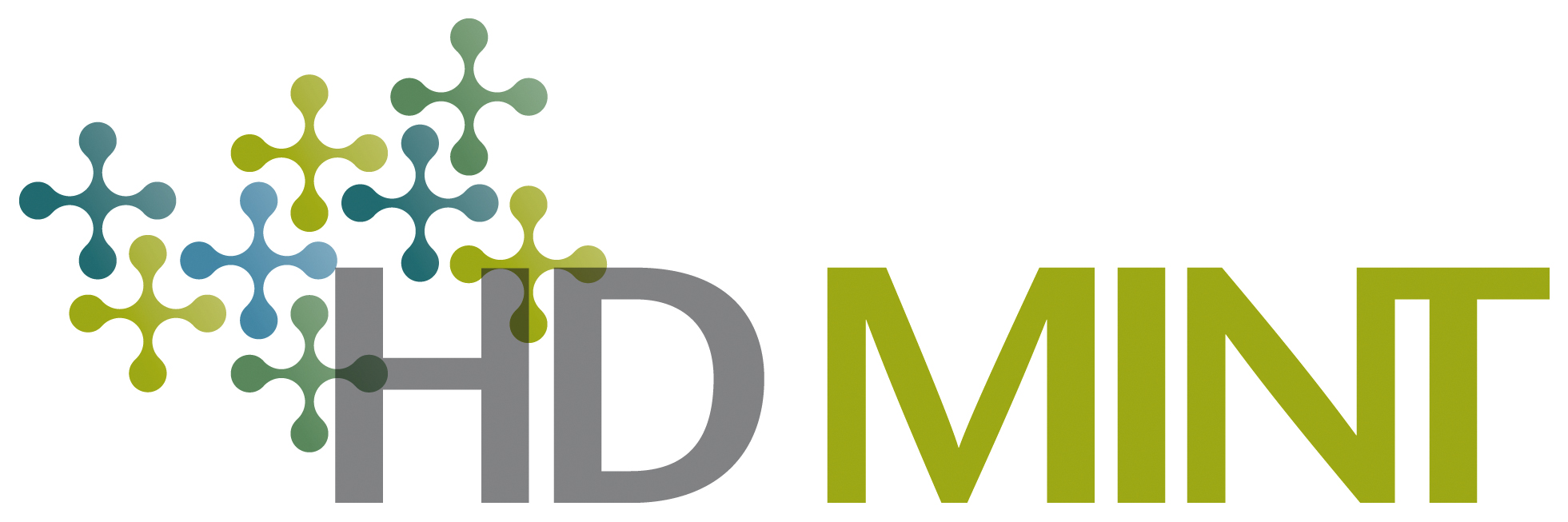 Logo HD-MINT Projekt